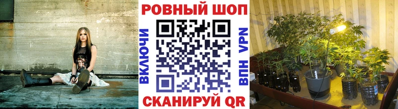 ГАШ Макаров
