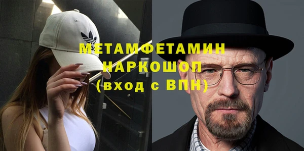 гидра Богородск