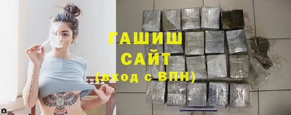 гидра Богородск