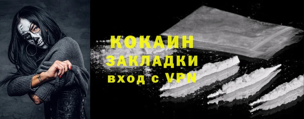гидра Богородск