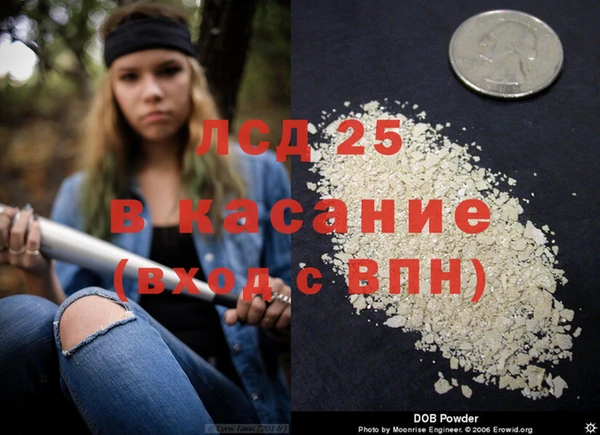 гидра Богородск