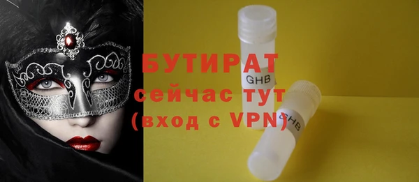 гидра Богородск