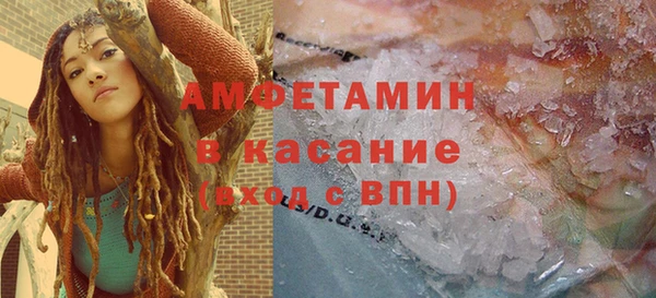 гидра Богородск