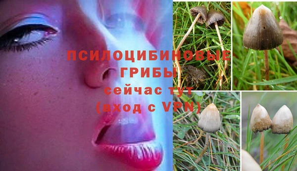 а пвп мука Богородицк