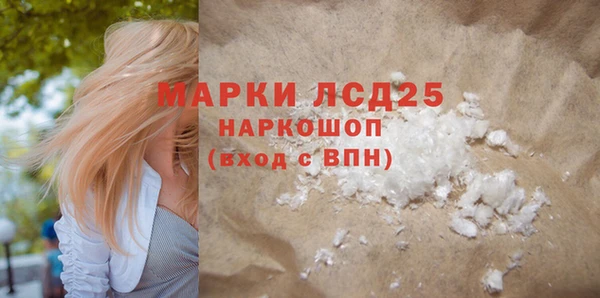 гидра Богородск